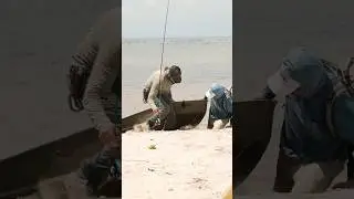 Fishing story #4 #fishingshorts #flyfishinglife #fishing #fish #flyfishing #ocean #sports