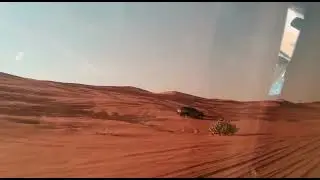 #desert #Lion