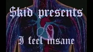 i feel insane - $kid
