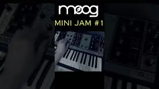 Moog Mini Jam #1 - Moog Grandmother #mooggrandmother #analogsynth #synth #synthjam #musicproduction