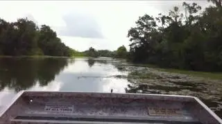 Swamp Boat Ride