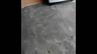 Nenem