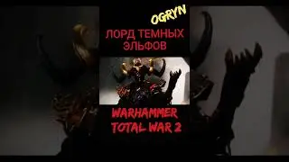 Непобедимый Саурон - Лорд Темных Эльфов / Warhammer total war