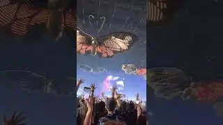 Symphony of Unity at Freedom by Bud #TML #tomorrowland