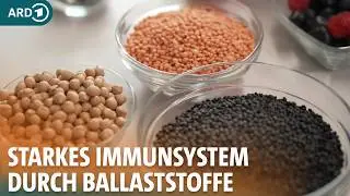 Ernährung und Immunsystem: So stärken Ballaststoffe die Abwehr I ARD Gesund