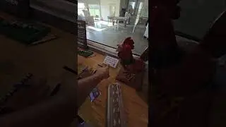 Магазин без продавца, яйца