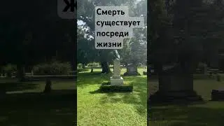 Освобождение от смерти. Как просветлеть. Как пробудиться. Сатсанг. Как медитировать