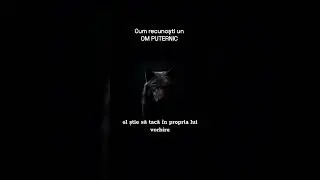 Cum recunosti un om puternic!?