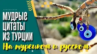 Мудрые цитаты известных турецких деятелей (на турецком + русский перевод)