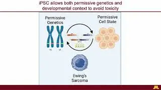 Exploring the role of genetic ancestry in EWS-FLI1... - Rachel M. Moss - RegSys - Poster - ISMB 2022