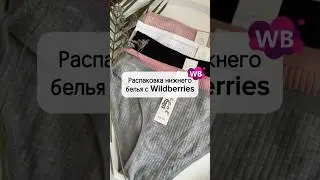 Lingerie from Wildberries
