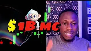 Smonkeykong token review: the next big memecoin( 1000x altcoins)