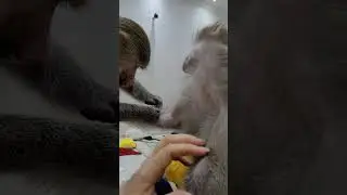 Работы не початый край🤣