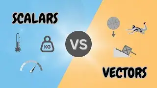 Understanding Scalars and Vectors