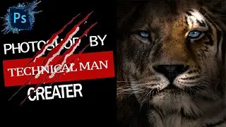 Fusing a Tiger and a Lion with Photoshop||Photoshop manupulation