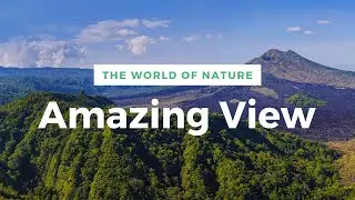 Neutral | Vlogs | Amazing | Sea | Water | 4K| Abid Kamboh SHP