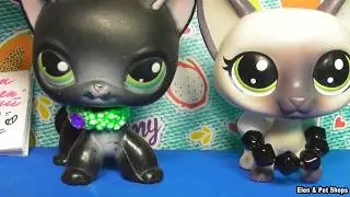 LPS: Посылка от Саши из Старого Оскола