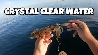 Seacliff Kayaking Fishing For a Mixed Bag In Crystal Clear Water!!