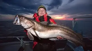Angeln in Norwegen: Seehecht und Großdorsch vor Averøy (Averoy) Region Hitra Smøla