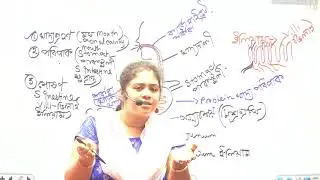 প্রাণী পুষ্টির পাঁচটি পর্যায় সহজ ভাষায় আলোচনা