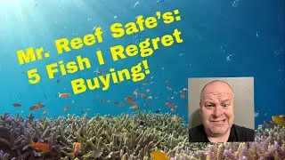 5 Fish I Regret Buying!