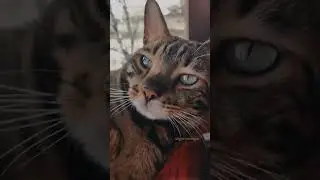 отдыхает