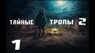 Предыстория...►STALKER Тайные Тропы 2 On OGSR #1