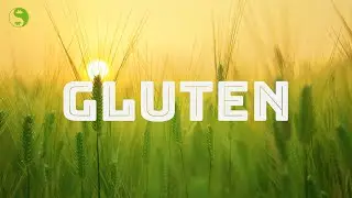 Gluten Facts - What Is The Nocebo Effect?