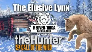 The Elusive Lynx - theHunter Call of the wild