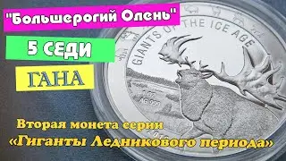 Серебряная монета «Большерогий олень». 5 седи 2019 года. Гана.