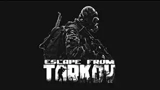 ESCAPE FROM TARKOV 2020 TARKOV STORIES