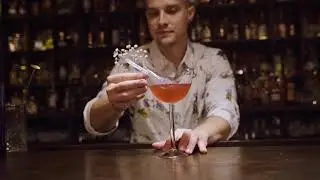 Gin Shark