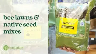 Bee Lawns & Native Seed Mixes