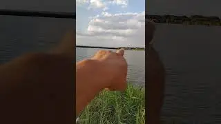 Рыбалка платный пруд
