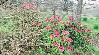 rainy Sussex