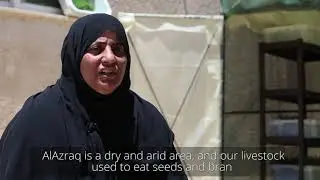 Hydroponics in Jordan - Meet Nihaya