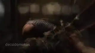the funniest shit i have ever created