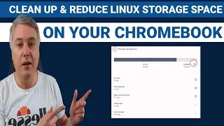 How to clean up and reduce Linux Storage space on your Chromebook