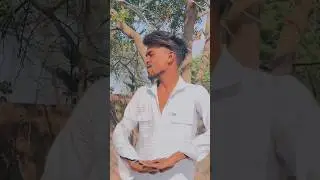 pal kesa pal