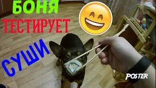 Крым.Суши Сами.Симферополь. 2 Часть.