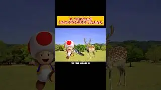 【声真似】キノピオさんでしかのこのこのここしたんたんを鹿に言い聞かせるの会🍄🦌💥💥💥