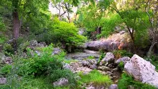 Drone Video