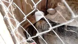 обзор хозяйства