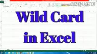 Wilde card in Excel | Excel tutorials in Hindi | Excel for beginners