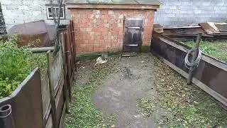 Добыча двух котов!