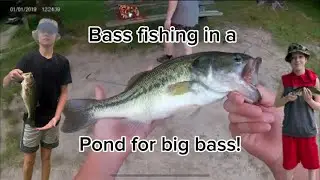 Bass Fishing in a Pond for Big Bass!