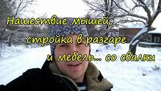 Нашествие мышей, стройка в разгаре и мебель...со свалки