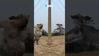 Bakra Eid Mubarak Ho Special vfx video 