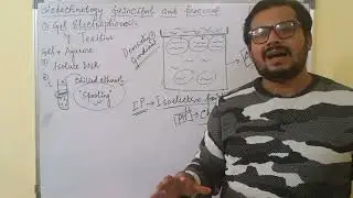 Biotechnology - Gel Electrophoresis Class 12 NCERT Part6