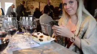 Vlog 2: The Birthday Special